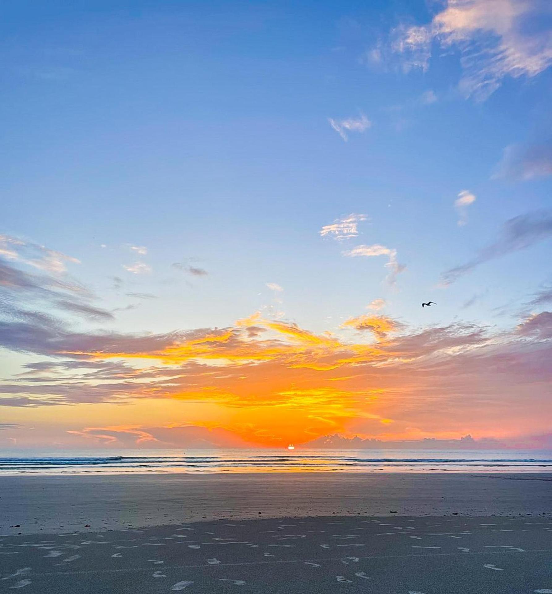 Oceanwalk 1-401 New Smyrna Beach Exterior foto